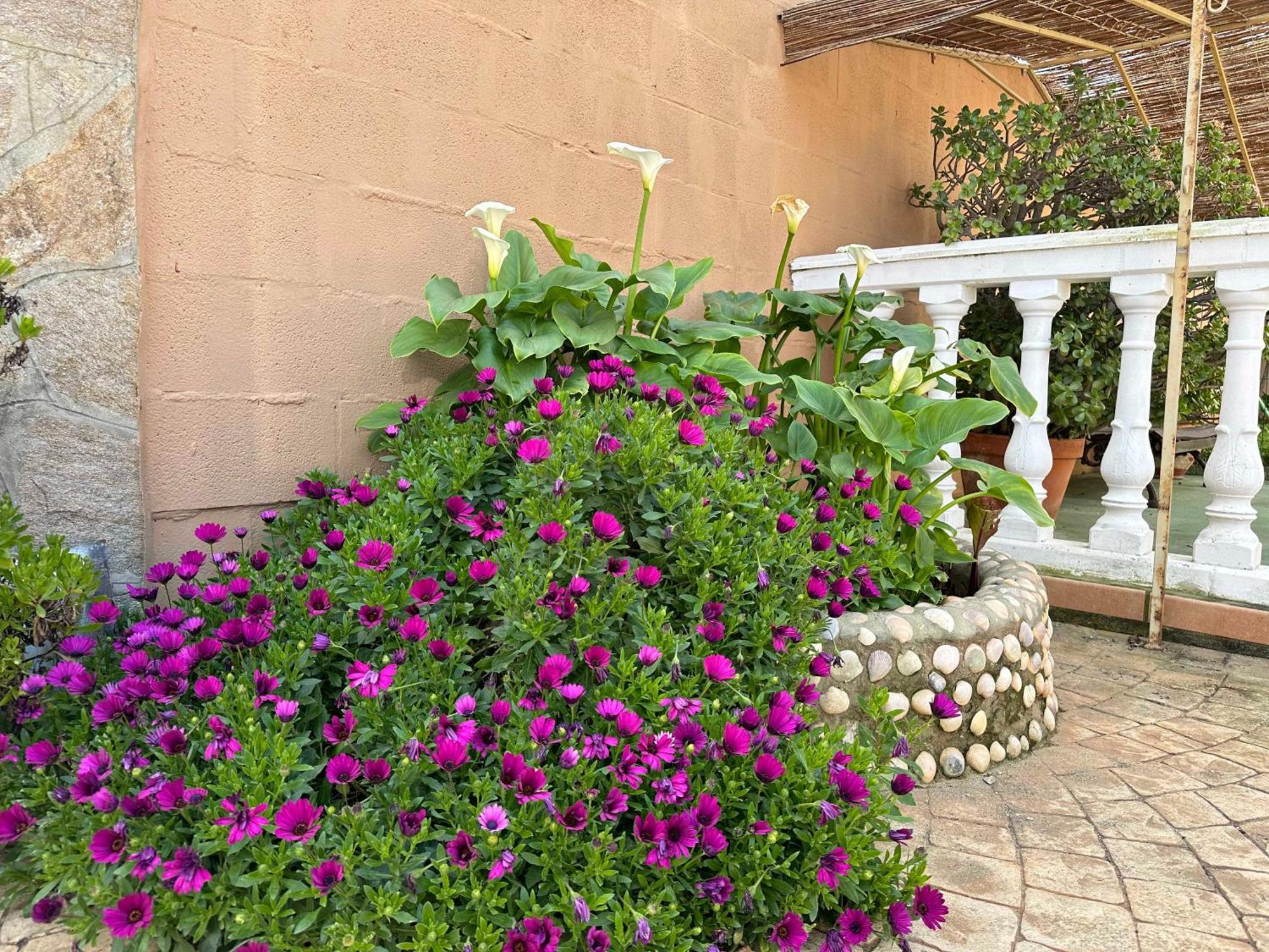 Chalet Aguacate شيكلانا دي لا فرونتيرا المظهر الخارجي الصورة